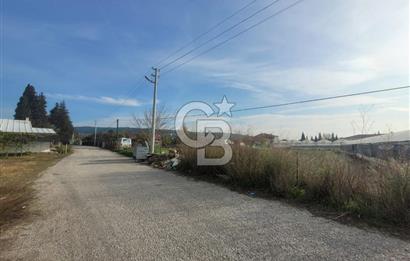 Urla Kuşçular da Satılık Tarla