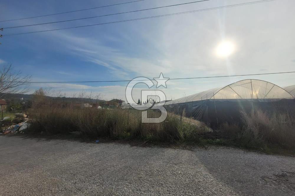 Urla Kuşçular da Satılık Tarla