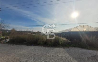 Urla Kuşçular da Satılık Tarla