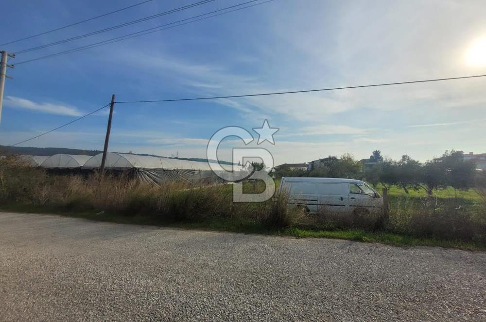 Urla Kuşçular da Satılık Tarla