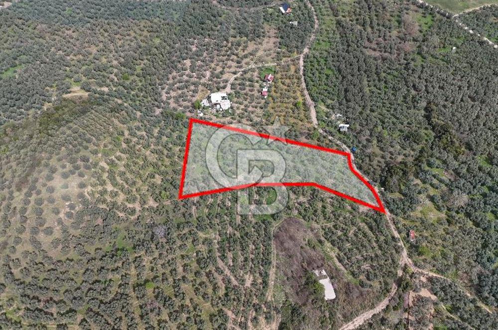 Mudanya Kumyaka'da Yolu Olan Yatırımlık Arazi (Araç Takaslı)