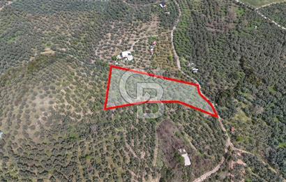 Mudanya Kumyaka'da Yolu Olan Yatırımlık Arazi (Araç Takaslı)