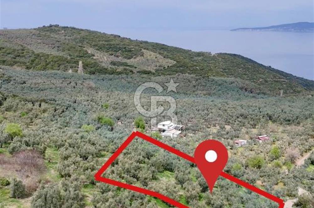 Mudanya Kumyaka'da Yolu Olan Yatırımlık Arazi (Araç Takaslı)