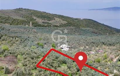 Mudanya Kumyaka'da Yolu Olan Yatırımlık Arazi (Araç Takaslı)