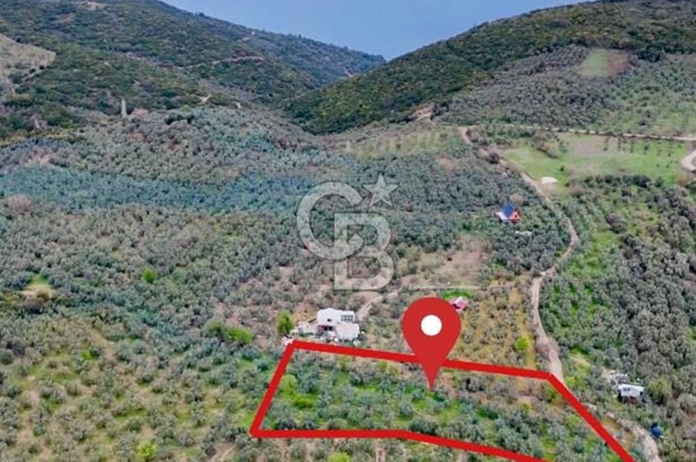 Mudanya Kumyaka'da Yolu Olan Yatırımlık Arazi (Araç Takaslı)