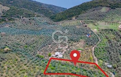 Mudanya Kumyaka'da Yolu Olan Yatırımlık Arazi (Araç Takaslı)