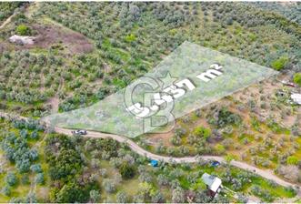 Mudanya Kumyaka'da Yolu Olan Yatırımlık Arazi (Araç Takaslı) - 7 - 320768