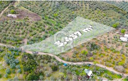 Mudanya Kumyaka'da Yolu Olan Yatırımlık Arazi (Araç Takaslı)