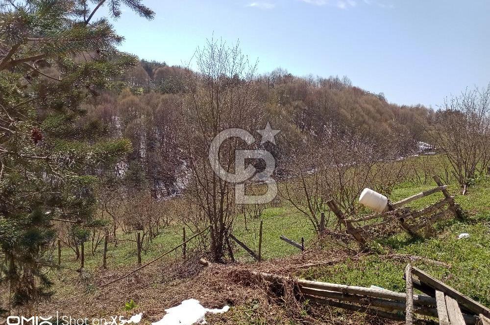 DÜZCE KAYNAŞLI YOL CEPHELİ BAĞ EVİ İZİNLİ TARLA 