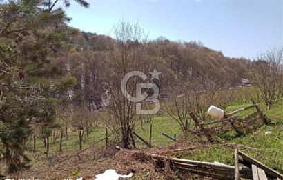 DÜZCE KAYNAŞLI YOL CEPHELİ BAĞ EVİ İZİNLİ TARLA 