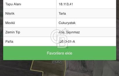 CB VİZYON GAYRİMENKUL ŞABANÖZÜNDE SATILIK FIRSAT KÖKTAPU TARLA