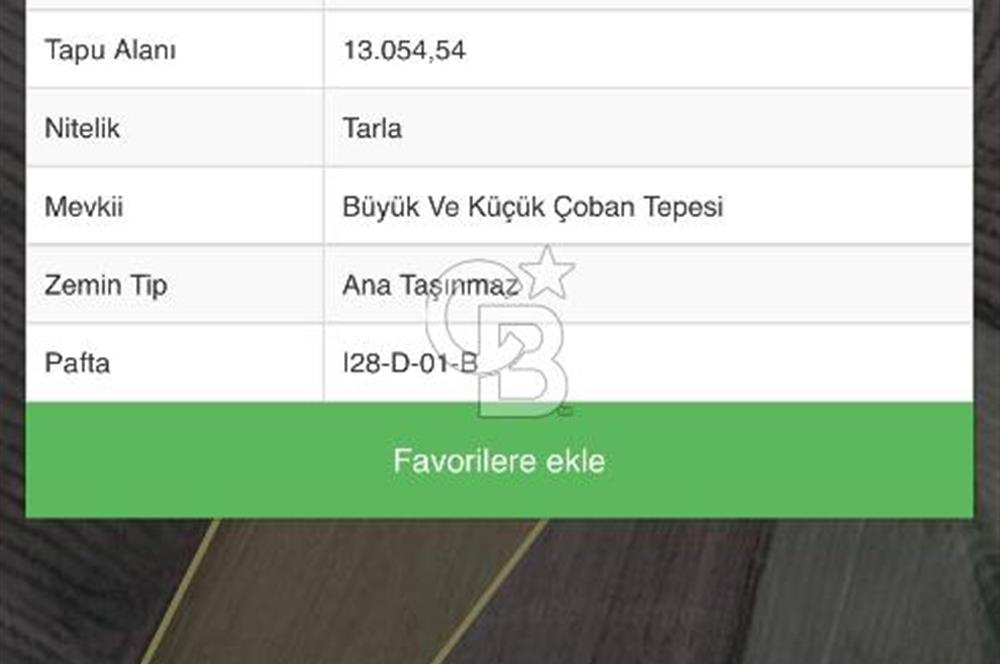 CB VİZYON GAYRİMENKUL ŞABANÖZÜNDE SATILIK FIRSAT KÖKTAPU TARLA