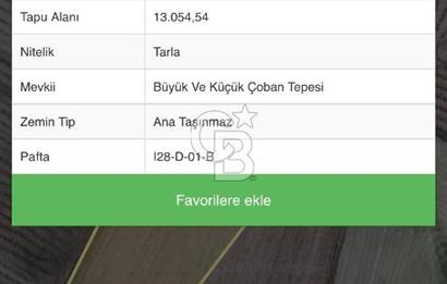CB VİZYON GAYRİMENKUL ŞABANÖZÜNDE SATILIK FIRSAT KÖKTAPU TARLA