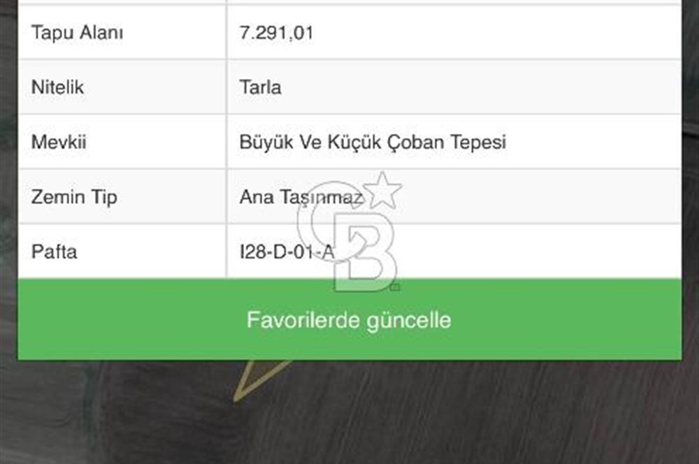 CB VİZYON GAYRİMENKUL ŞABANÖZÜNDE SATILIK FIRSAT KÖKTAPU TARLA