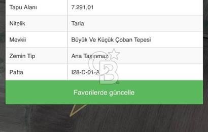 CB VİZYON GAYRİMENKUL ŞABANÖZÜNDE SATILIK FIRSAT KÖKTAPU TARLA