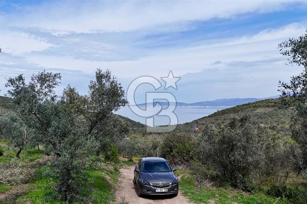 Mudanya Kumyaka'da Yolu Olan Yatırımlık Arazi (Araç Takaslı)