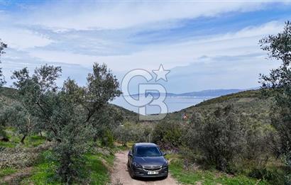 Mudanya Kumyaka'da Yolu Olan Yatırımlık Arazi (Araç Takaslı)