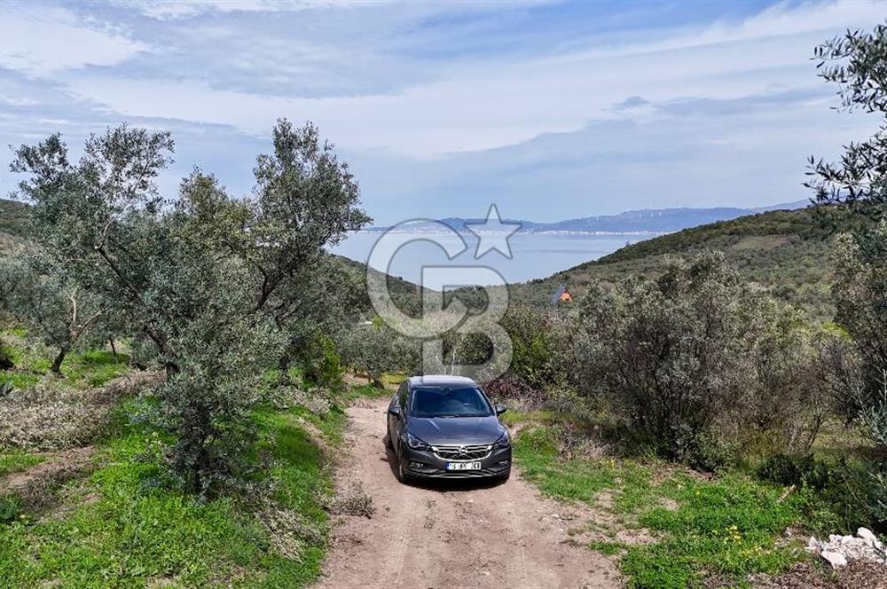 Mudanya Kumyaka'da Yolu Olan Yatırımlık Arazi (Araç Takaslı)