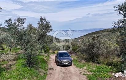 Mudanya Kumyaka'da Yolu Olan Yatırımlık Arazi (Araç Takaslı)