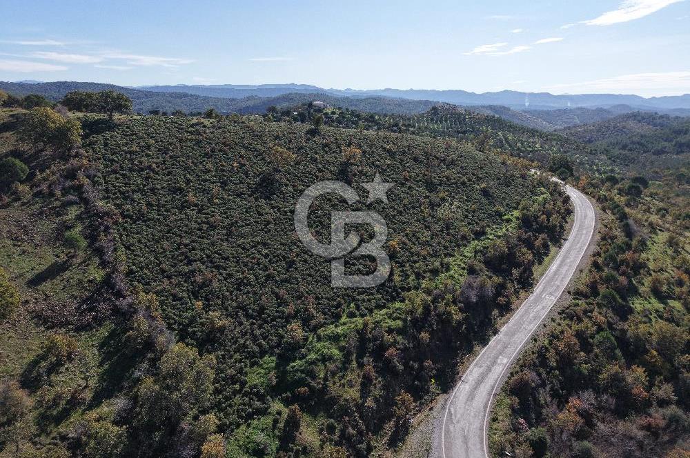 Gömeç Kubaşlarda Villa İmarlı Arsa