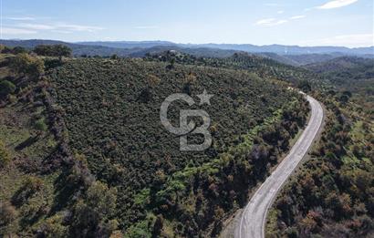 Gömeç Kubaşlarda Villa İmarlı Arsa