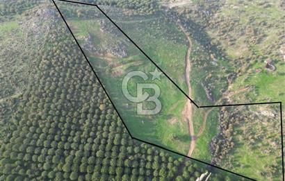 Gömeç ulubeylerde 17 dönüm tarla