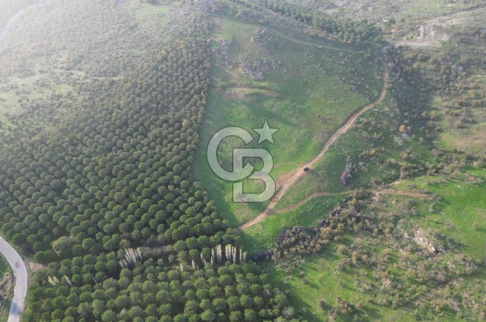 Gömeç ulubeylerde 17 dönüm tarla