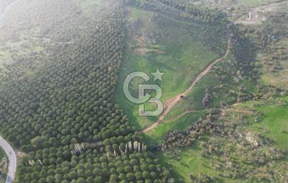 Gömeç ulubeylerde 17 dönüm tarla