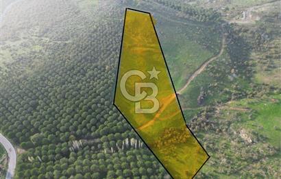 Gömeç ulubeylerde 17 dönüm tarla