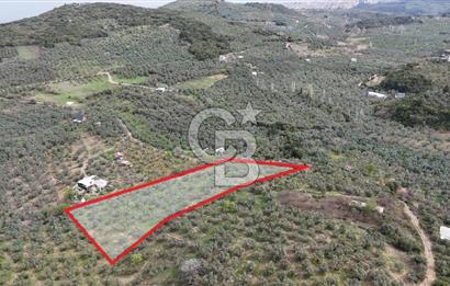 Mudanya Kumyaka'da Yolu Olan Yatırımlık Arazi (Araç Takaslı)