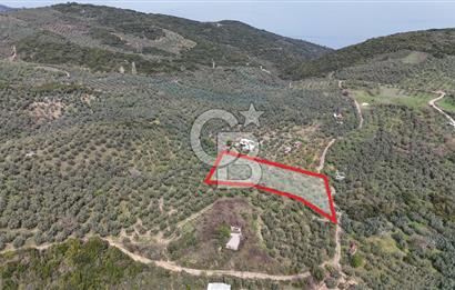 Mudanya Kumyaka'da Yolu Olan Yatırımlık Arazi (Araç Takaslı)