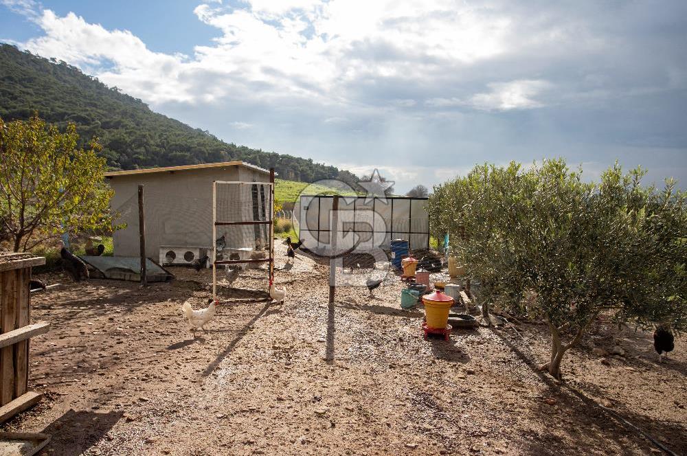 Foça Kocamehmetler'de Satılık Tarla ve Ev