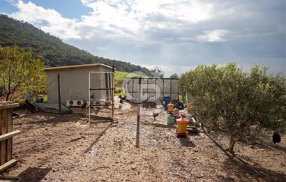 Foça Kocamehmetler'de Satılık Tarla ve Ev