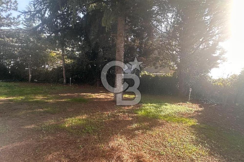 MUDANYA BADEMLİ ÇAMLITEPE SİT.KAPALI OTOPARKLI KİRALIK 5+1 VİLLA