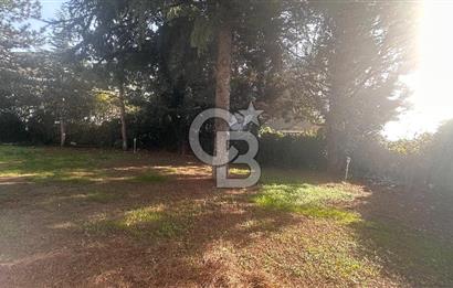 MUDANYA BADEMLİ ÇAMLITEPE SİT.KAPALI OTOPARKLI KİRALIK 5+1 VİLLA