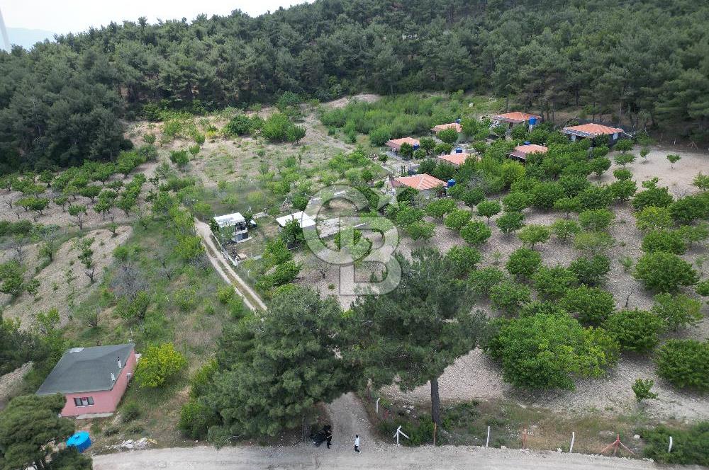 İZMİR BORNOVA YAKAKÖY'DE 658 M2 YAŞAM VE YATIRIM BAHÇESİ