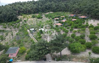 İZMİR BORNOVA YAKAKÖY'DE 658 M2 YAŞAM VE YATIRIM BAHÇESİ