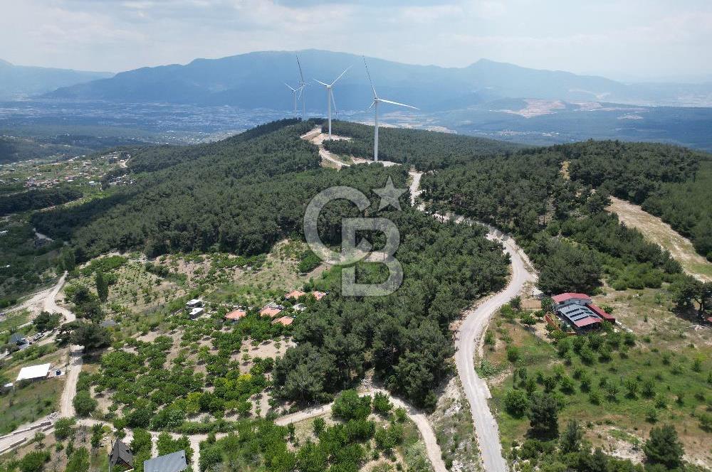 İZMİR BORNOVA YAKAKÖY'DE 658 M2 YAŞAM VE YATIRIM BAHÇESİ