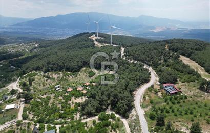 İZMİR BORNOVA YAKAKÖY'DE 658 M2 YAŞAM VE YATIRIM BAHÇESİ