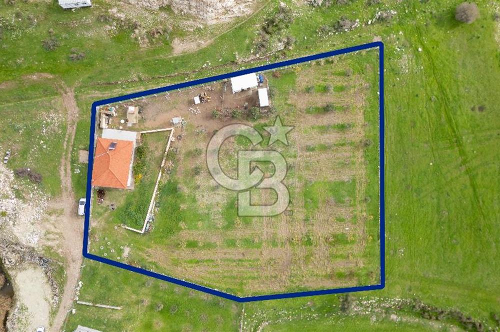 Foça Kocamehmetler'de Satılık Tarla ve Ev