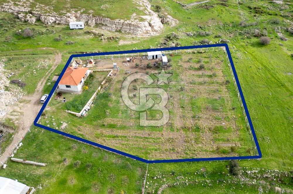 Foça Kocamehmetler'de Satılık Tarla ve Ev