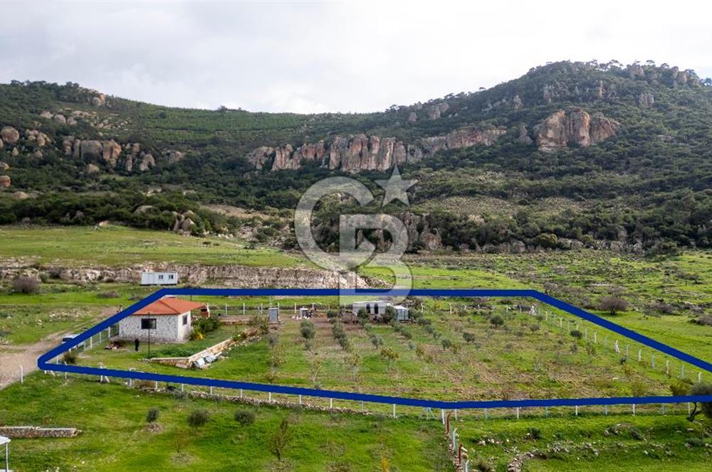 Foça Kocamehmetler'de Satılık Tarla ve Ev