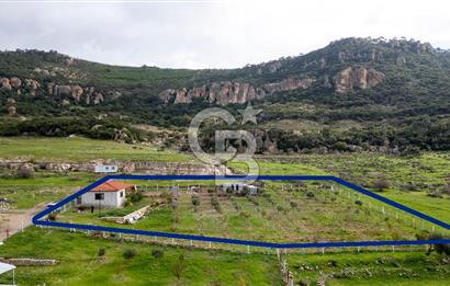 Foça Kocamehmetler'de Satılık Tarla ve Ev