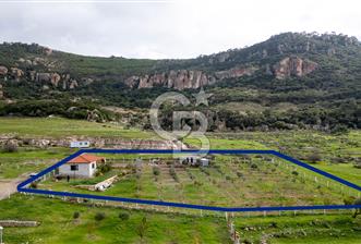 Foça Kocamehmetler'de Satılık Tarla ve Ev - 1 - 320807