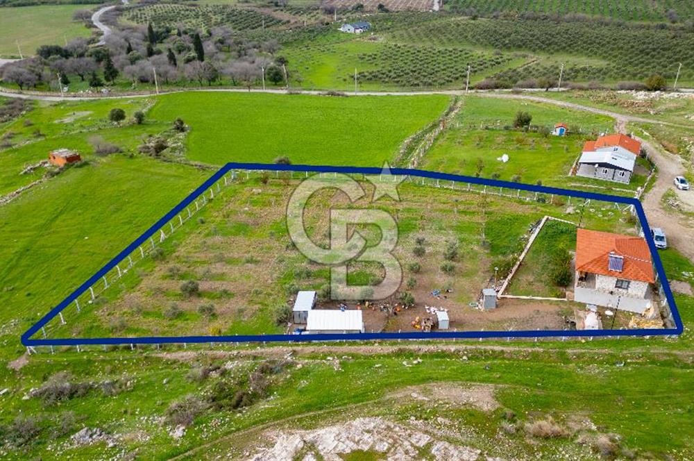 Foça Kocamehmetler'de Satılık Tarla ve Ev