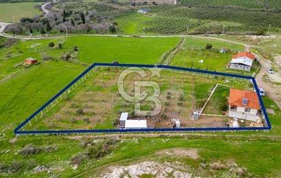 Foça Kocamehmetler'de Satılık Tarla ve Ev