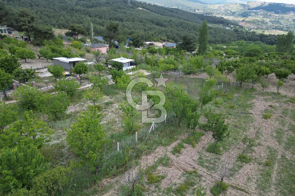 İZMİR BORNOVA YAKAKÖY'DE 658 M2 YAŞAM VE YATIRIM BAHÇESİ