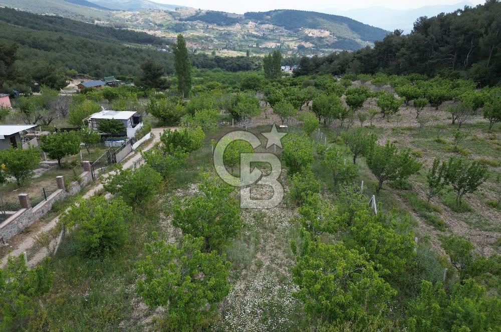 İZMİR BORNOVA YAKAKÖY'DE 658 M2 YAŞAM VE YATIRIM BAHÇESİ