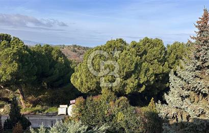 MUDANYA BADEMLİ ÇAMLITEPE SİT.KAPALI OTOPARKLI KİRALIK 5+1 VİLLA