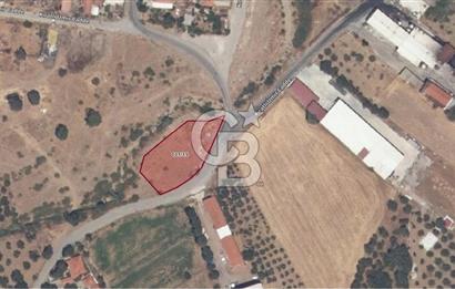 DİKİLİ KIRATLI'DA MÜKEMMEL LOKASYONDA SATILIK İMARLI TARLA